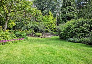 Optimiser l'expérience du jardin à Chaource